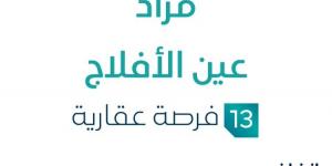 13 فرصة عقارية .. مزاد عقاري جديد من شركة إفادة العقارية في الأفلاج