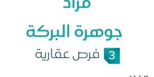 3 فرص عقارية .. مزاد عقاري جديد من مكتب دار المساح للعقارات في الرياض