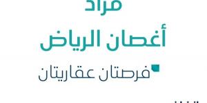 فرصتان عقاريتان .. مزاد عقاري جديد من شركة نزل السعودية للعقارات تحت إشراف مزادات إنفاذ