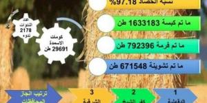 «الزراعة»: حصاد 97% من المساحات المنزرعة بمحصول الأرز