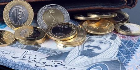 سعر الريال السعودي في مصر اليوم.. الأحد 29 سبتمبر 2024