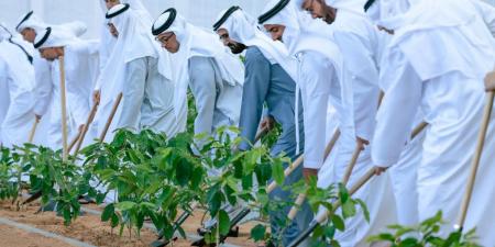 "ازرع الإمارات" يتصدَر "إكس".. ومتابعون: " نزرع اليوم للمستقبل"