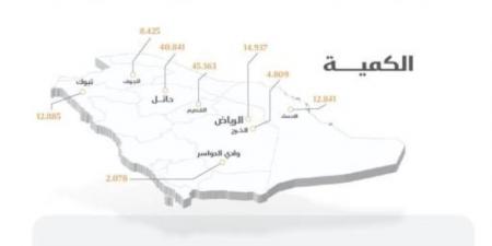 "الأمن الغذائي": صرف (256) مليون ريال لمزارعي القمح المحلي