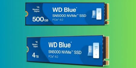 “WD Blue SN5000”: حل التخزين الأمثل للإبداع والعمل والألعاب