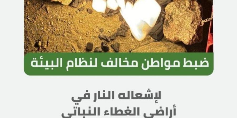 "الأمن البيئي" بعسير يضبط مخالفًا لإشعاله النار في أراضي الغطاء النباتي