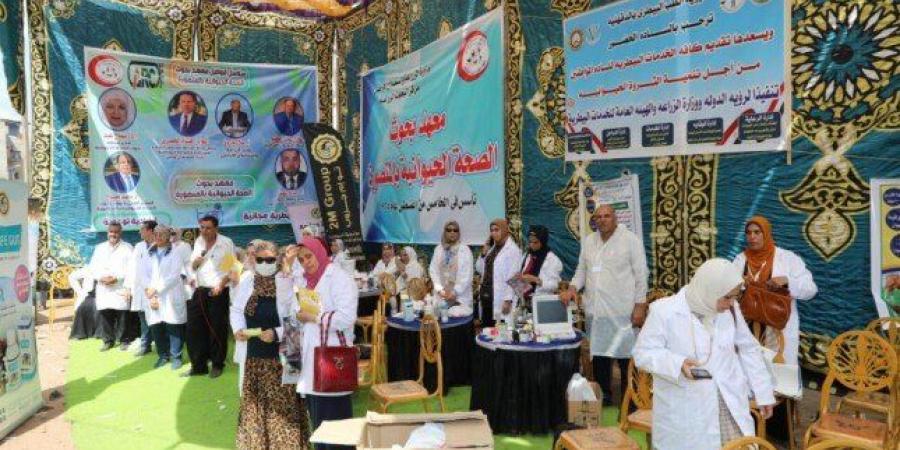 احتفالًا بعيد الفلاح.. «الخدمات البيطرية» تعالج 170 ألف رأس ماشية مجانا