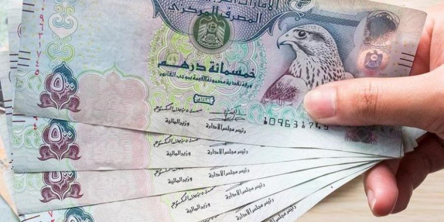 سعر الدرهم الإماراتي مقابل الجنيه المصري اليوم الأحد 22 سبتمبر 2024