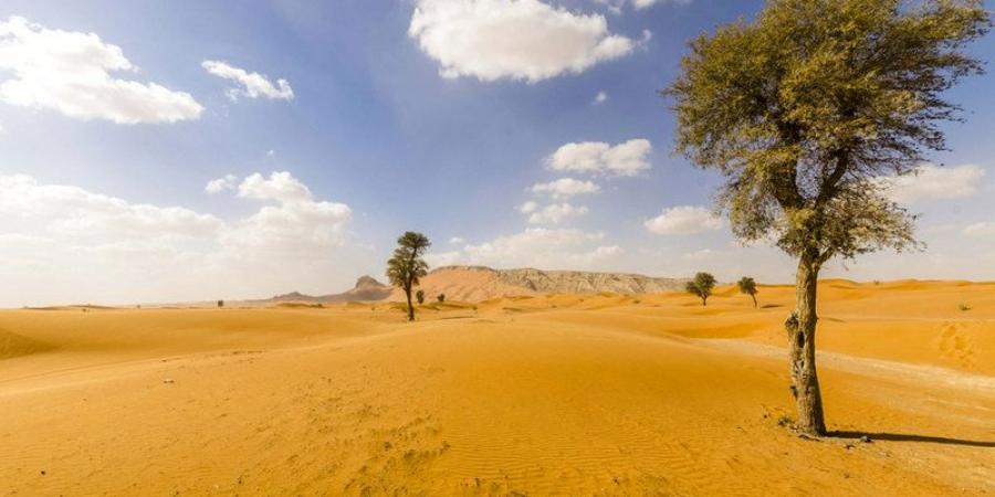 "فلكية جدة": اليوم نهاية فصل الصيف