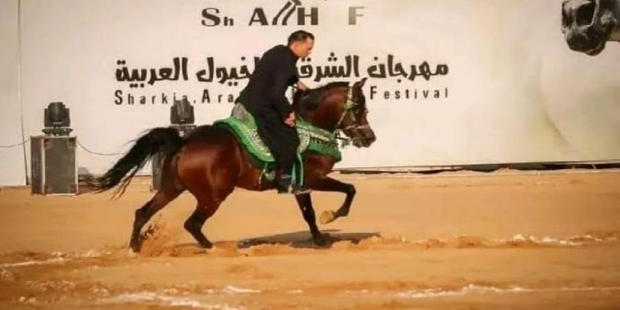 إعلان جوائز الفائزين فى مسابقة تراث أدب الخيل بمهرجان الشرقية للخيول العربية