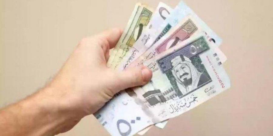 تعرف على سعر الريال السعودي في مصر اليوم الأربعاء 02 أكتوبر 2024