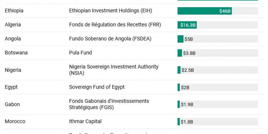 بلومبيرغ: صندوق ثروة ليبيا السيادي يتصدر قائمة 13 صندوقًا نظيرًا في إفريقيا