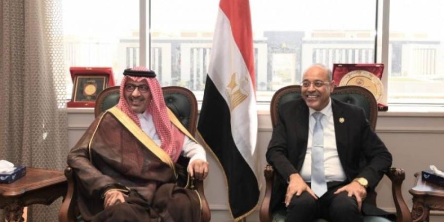 السفير الحصيني يستعرض مع وزير العمل المصري أوجه التعاون المشترك