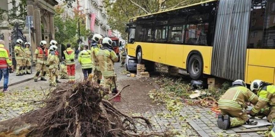 إصابة 30 شخصًا في حادث سير بألمانيا