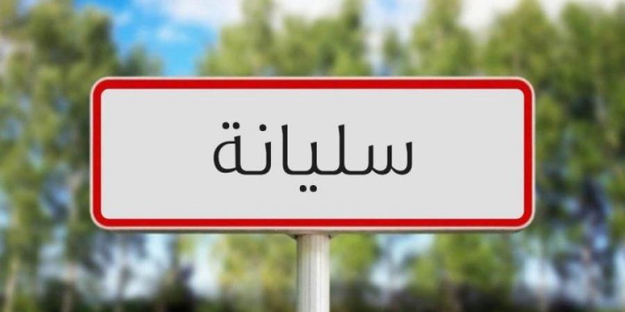 سليانة: المصادقة على جملة من القرارات والبرامج خلال الدورة العادية الثانية للجنة الإدارية التسييرية للمجلس الجهوي