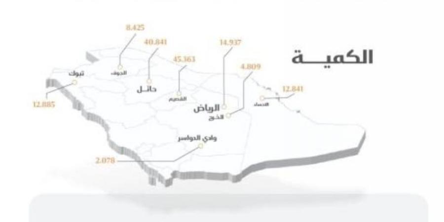 "الأمن الغذائي": صرف (256) مليون ريال لمزارعي القمح المحلي