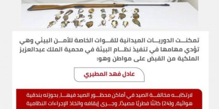 "الأمن البيئي" يقبض على مواطن لارتكابه مخالفة الصيد في أماكن محظور الصيد فيها