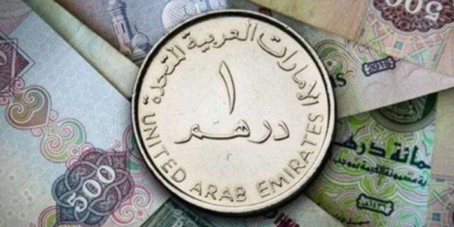 سعر الدرهم الإماراتي مقابل الجنيه المصري اليوم السبت 19 أكتوبر 2024