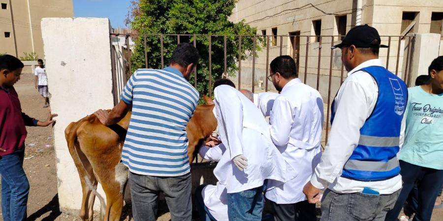 قافلة طبية بيطرية مجانية بقرية الخواطرة بالسويس