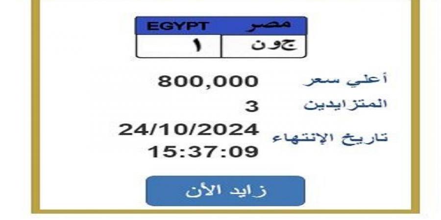 «ج و ن 1».. لوحة سيارة وصل سيارة لـ 800 ألف جنيه