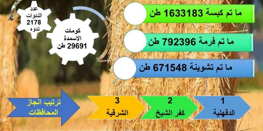 “الزراعة”: إنتاج أكثر من 29 ألف طن أسمدة عضوية من قش الأرز