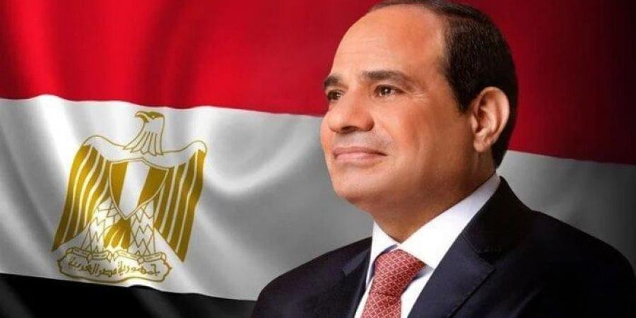 الرئيس السيسي: مصر تؤمن بضرورة تكاتف الدول النامية وتعزيز تعاون الجنوب