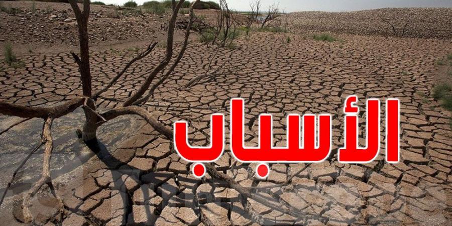 تونس: خبير يدعو الى إعلان حالة الطوارئ المائية