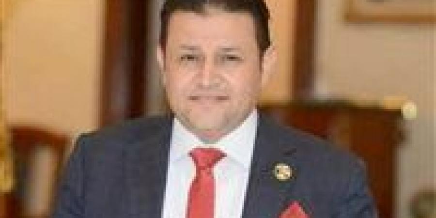 شحاتة أبو زيد: تكاتف الجبهة الداخلية الدرع الأول لحماية الأمن القومي.. ورسائل الرئيس تعبر عن دقة المرحلة