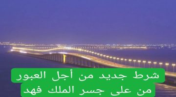 “بدونه لن تتمكن من العبور”.. شرط جديد تضعه السعودية لعبور جسر الملك فهد لن تستطيع أي سيارة العبور بدونه
