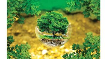 التنمية المستدامة: مفتاح بناء مستقبل مزدهر ومتوازن