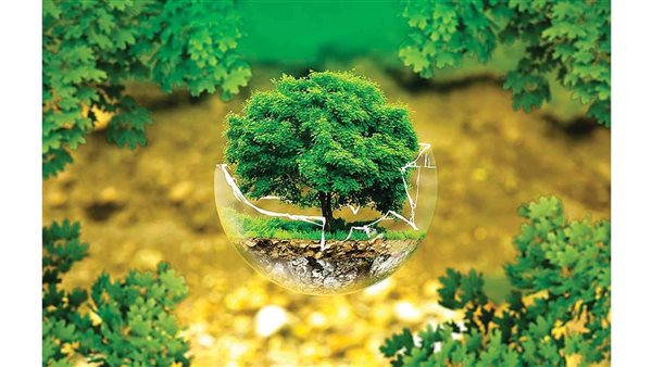 التنمية المستدامة: مفتاح بناء مستقبل مزدهر ومتوازن 5 التنمية المستدامة: مفتاح بناء مستقبل مزدهر ومتوازن