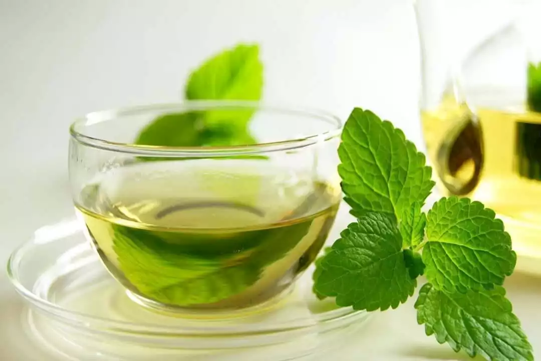هل النعناع آمن للأطفال حديثي الولادة؟ 5 هل النعناع آمن للأطفال حديثي الولادة؟