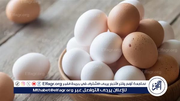 أسعار طبق البيض اليوم الثلاثاء 24-12-2024 في قنا 5 أسعار طبق البيض اليوم الثلاثاء 24-12-2024 في قنا