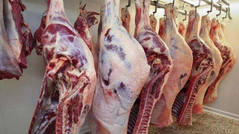 أسعار اللحوم الحمراء اليوم الأربعاء 5 أسعار اللحوم الحمراء اليوم الأربعاء