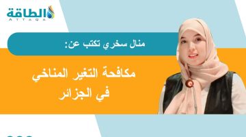 كفاءة الطاقة بقطاع النقل في الجزائر.. كيف تدعم العمل المناخي؟ (مقال) – الطاقة