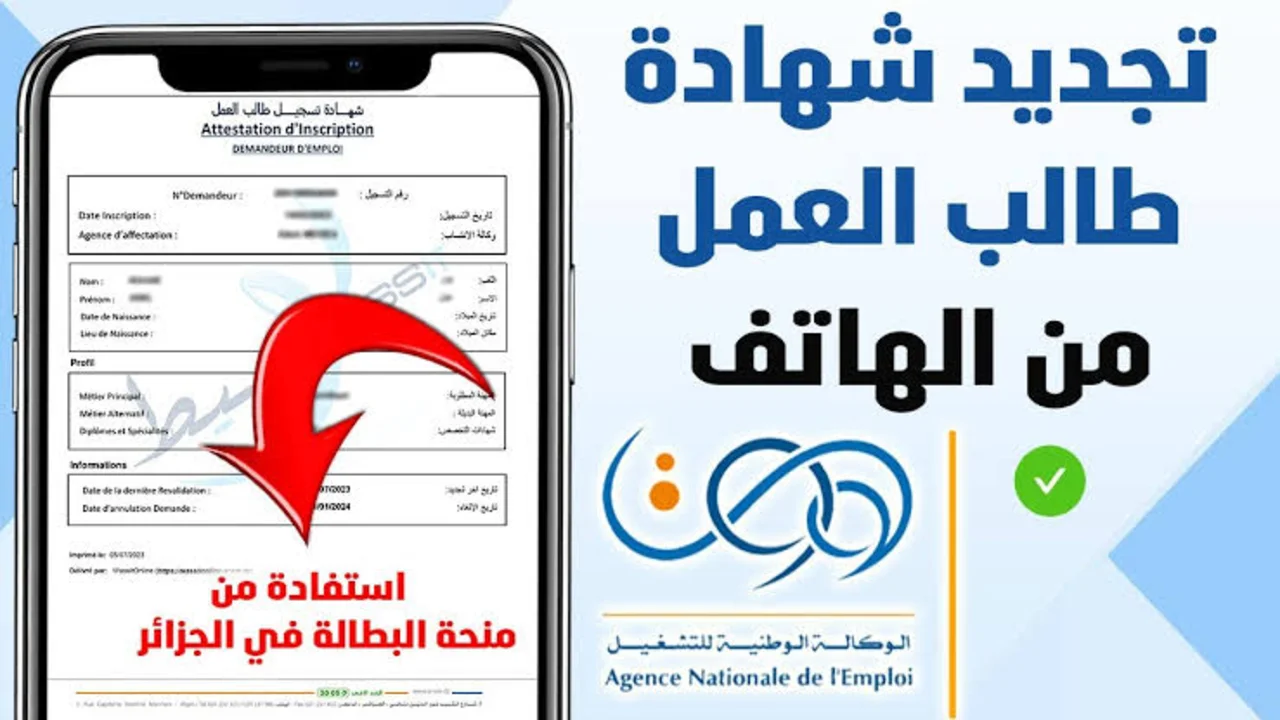 قبل إنتهاء صلاحيتها.. رابط تجديد منحة البطالة الجزائر 2025 minha.anem.dz والشروط المطلوبة 5 قبل إنتهاء صلاحيتها.. رابط تجديد منحة البطالة الجزائر 2025 minha.anem.dz والشروط المطلوبة
