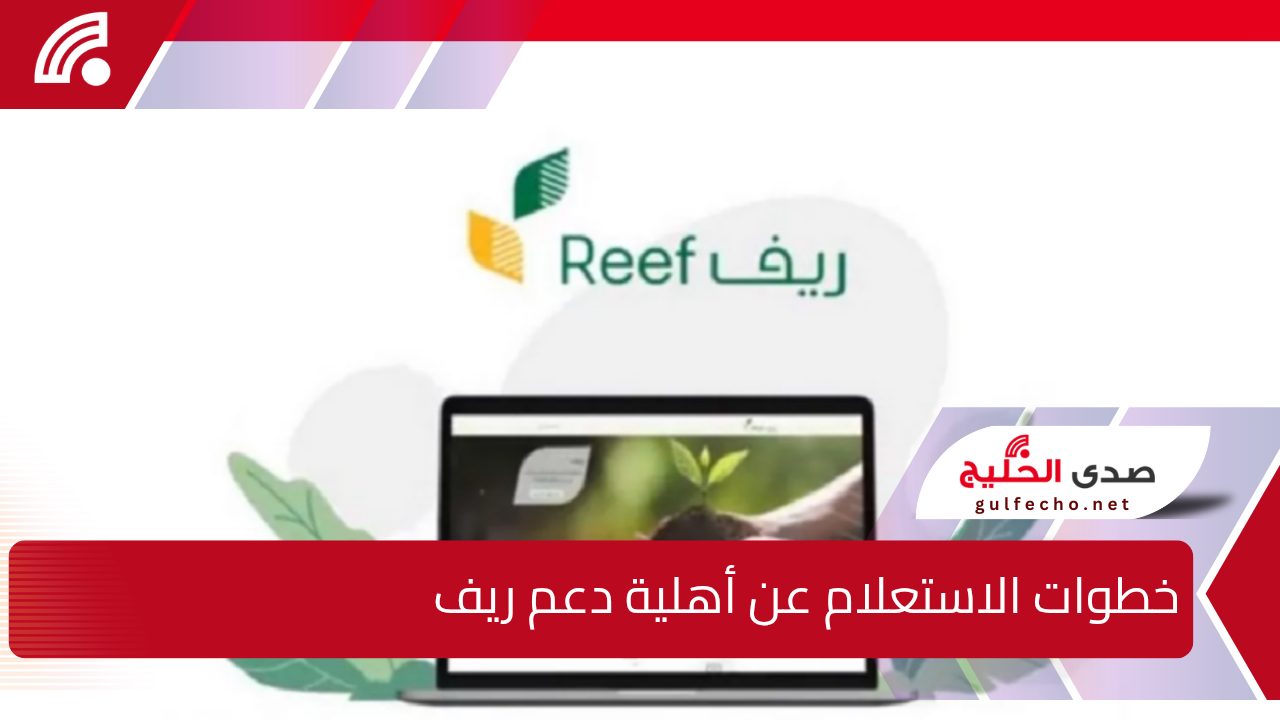 "وزارة البيئة والمياه والزراعة" توضح.. خطوات الاستعلام عن أهلية دعم ريف لشهر يناير 2025" 5 “وزارة البيئة والمياه والزراعة” توضح.. خطوات الاستعلام عن أهلية دعم ريف لشهر يناير 2025″
