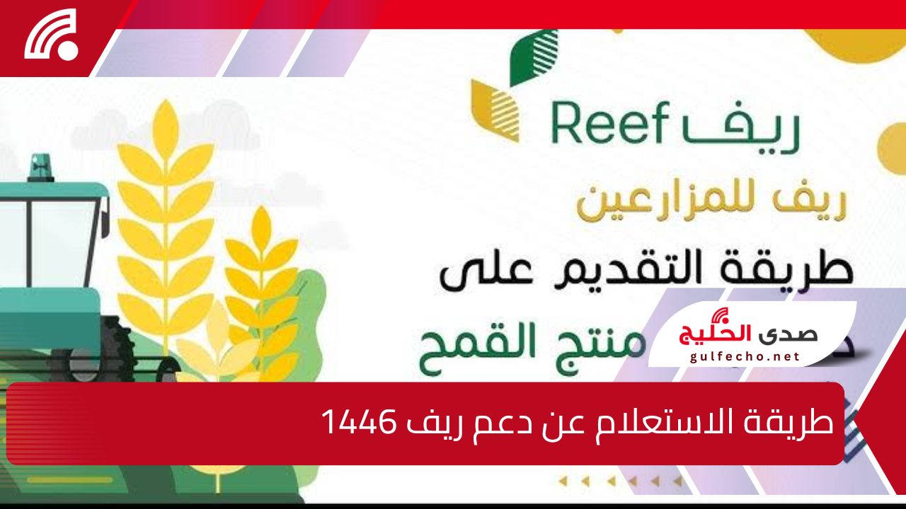 إليك طريقة الاستعلام عن دعم ريف 1446 من اللينك المباشر وما هي الشروط المطلوبة ؟ 5 إليك طريقة الاستعلام عن دعم ريف 1446 من اللينك المباشر وما هي الشروط المطلوبة ؟