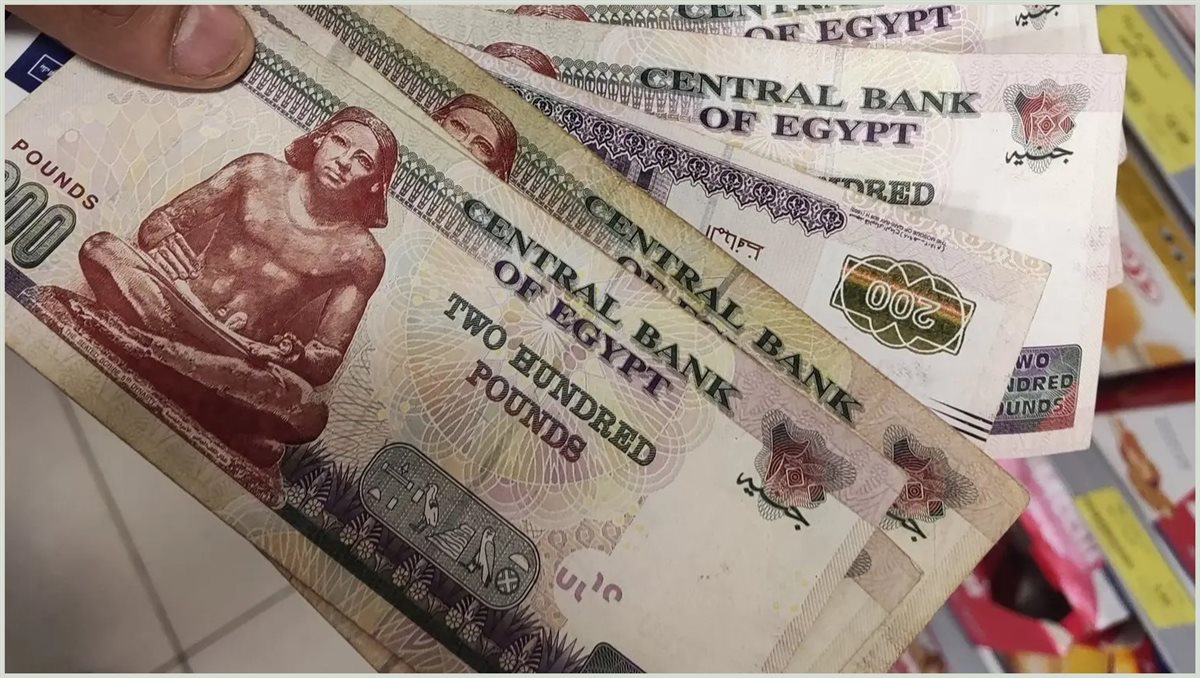 التموين بقى كاش.. الدعم النقدي حل جديد للهدر والعدالة الاجتماعية 5 التموين بقى كاش.. الدعم النقدي حل جديد للهدر والعدالة الاجتماعية