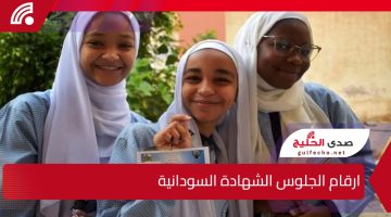 الآن.. رابط استخرج ارقام الجلوس الشهادة السودانية عبر موقع وزارة التربية والتعليم السودانية mohe.gov.sd