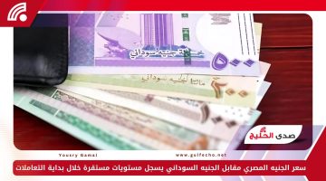 سعر الجنيه المصري مقابل الجنيه السوداني يسجل مستويات مستقرة خلال بداية التعاملات