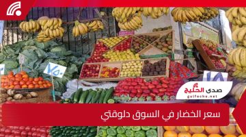 مفاجأة في سعر الخضار والفاكهة رأس السنة 2025 دلوقتي