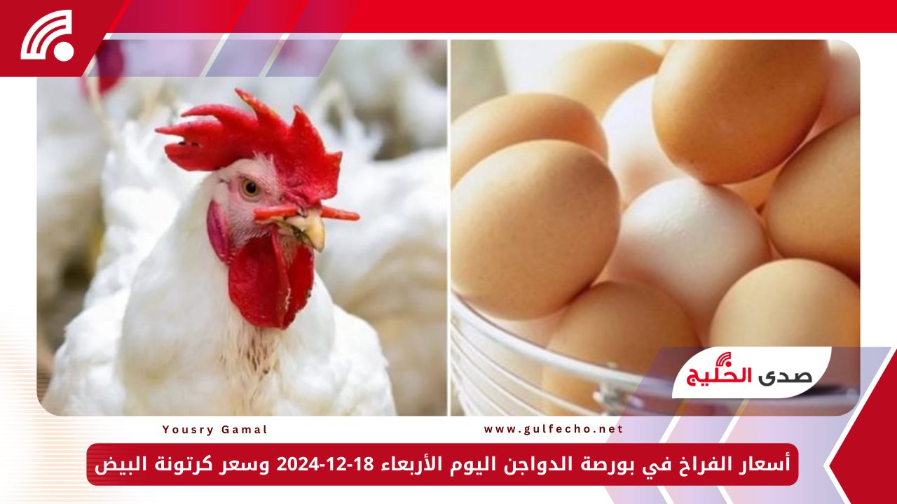 أسعار الفراخ في بورصة الدواجن اليوم الأربعاء 18-12-2024 وسعر كرتونة البيض 5 أسعار الفراخ في بورصة الدواجن اليوم الأربعاء 18-12-2024 وسعر كرتونة البيض