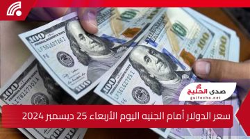 ” طار واتجنن عالآخر ” سعر الدولار أمام الجنيه اليوم الأربعاء 25 ديسمبر 2024 خبير يوضح سبب الارتفاع