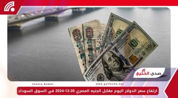 ارتفاع سعر الدولار اليوم مقابل الجنيه المصري 20-12-2024 في السوق السوداء