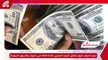سعر الدولار اليوم مقابل الجنيه المصري 24-12-2024 في البنوك والسوق السوداء