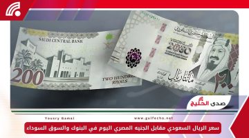 سعر الريال السعودي مقابل الجنيه المصري اليوم الثلاثاء 31-12-2024 في البنوك والسوق السوداء