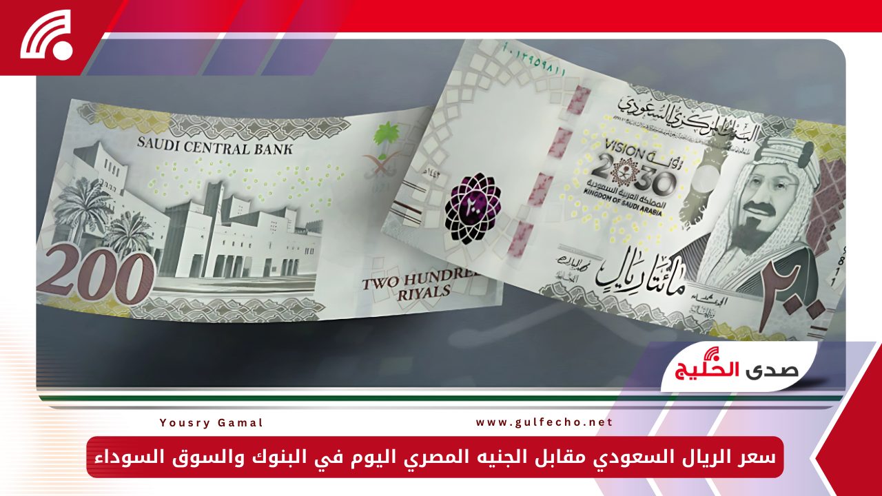 سعر الريال السعودي مقابل الجنيه المصري اليوم الثلاثاء 31-12-2024 في البنوك والسوق السوداء 5 سعر الريال السعودي مقابل الجنيه المصري اليوم الثلاثاء 31-12-2024 في البنوك والسوق السوداء