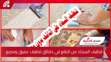 خلطة جهنمية لتنظيف السجاد من البقع في دقائق.. تنظيف عميق وسريع بدون ماتشيليه من مكانه من غير تعب ولا مجهود!