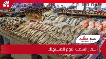 البلطي بـ 50 جنيه… أسعار السمك اليوم للمستهلك وسعره في سوق العبور