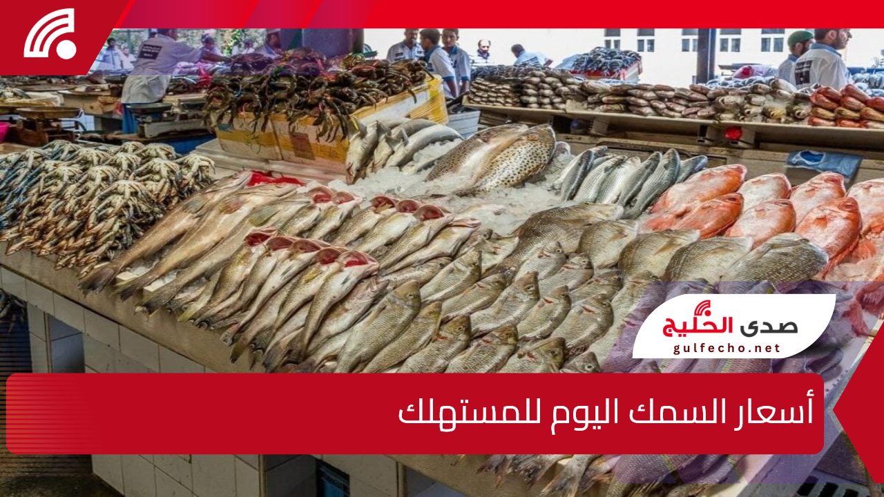 البلطي بـ 50 جنيه... أسعار السمك اليوم للمستهلك وسعره في سوق العبور 5 البلطي بـ 50 جنيه… أسعار السمك اليوم للمستهلك وسعره في سوق العبور